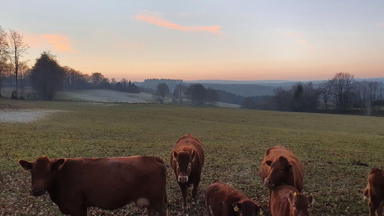 Ausblick aus dem Fenster. Nachbarschaft Ausblick aus dem Fenster. Nachbarschaft